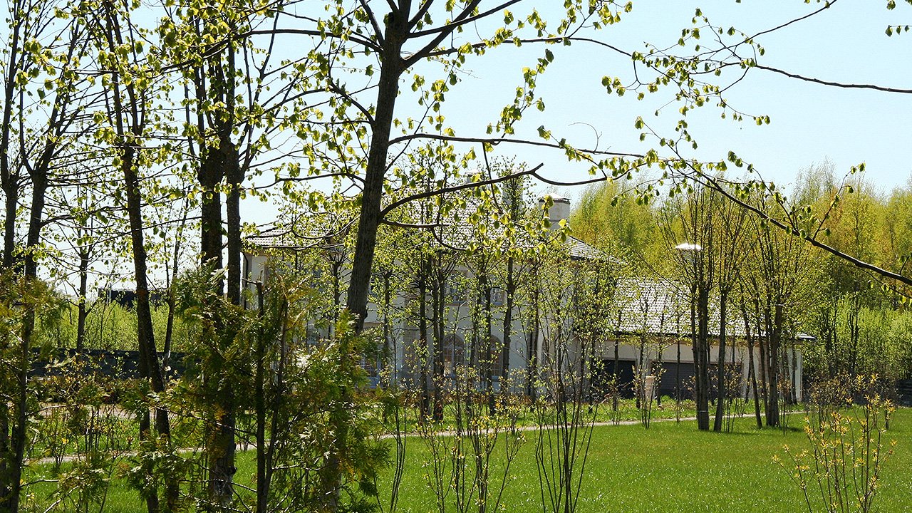 В Шато Соверен высажено более 10 000 деревьев